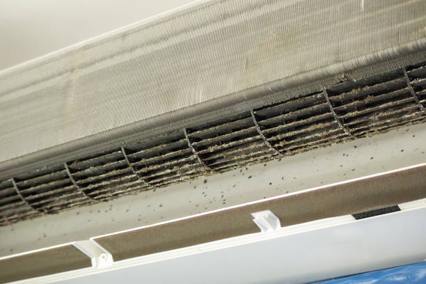 Best Commercial Air Duct Cleaning  in Jacksonwald, PA